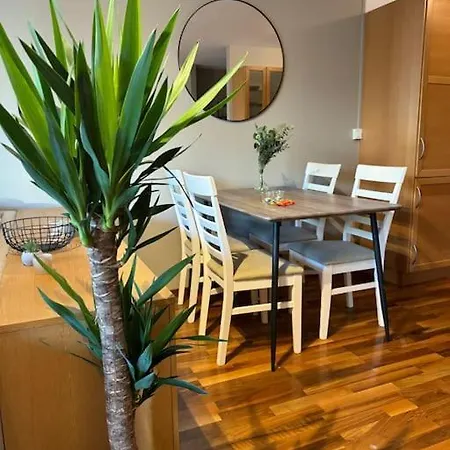 Apartamento Central Including Parking